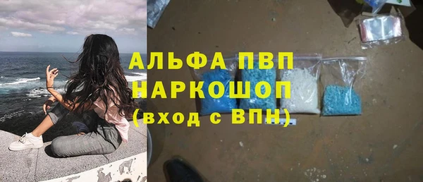 spice Алзамай