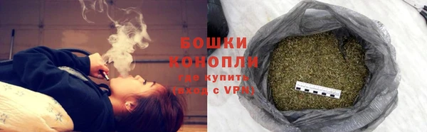 spice Алзамай