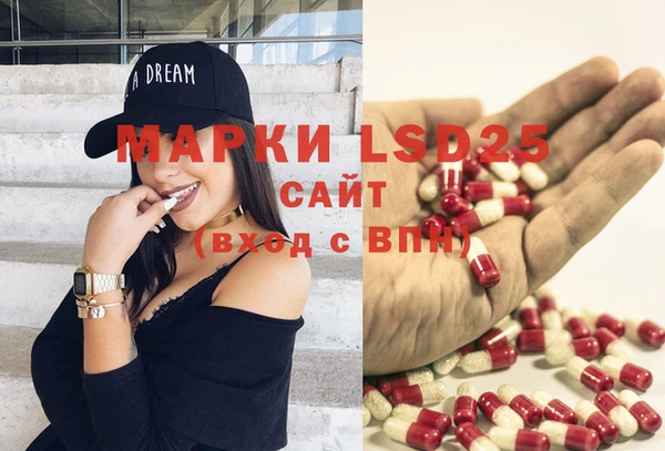 spice Алзамай