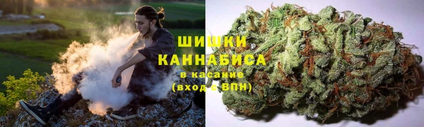 spice Алзамай