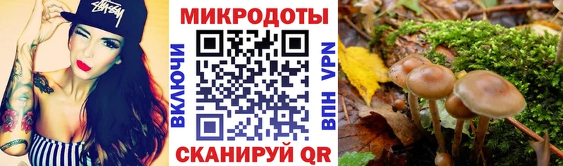 omg   Бронницы  Псилоцибиновые грибы Psilocybine cubensis 